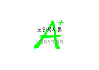 노인복지의 원칙