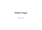 해부학-Mallet finger(추지)