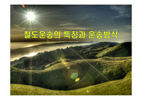 철도운송의 특징과 운송방식