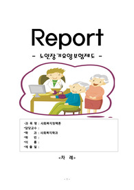 [에이쁠 +]  노인장기요양보험  레포트 [에이쁠 +]