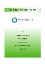 [한국환경공단자기소개서] 한국환경공단 채용형 인턴사원 합격자소서와 면접예상문제