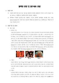 [일반생물학실험]혈액형 판정 및 혈구세포 관찰