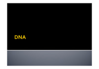 [자연과학] 일반생물학 &lt;DNA&gt; 발표 ppt 자료