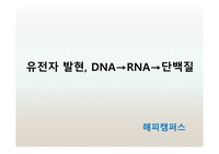 유전자 발현  DNA→RNA→단백질 전사-DNA 정보가 mRNA로