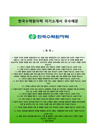 한국수력원자력 채용형 인턴사원 자기소개서(자소서)와 면접기출문제