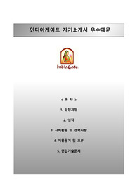 [인디아게이트자기소개서] 인디아게이트 인턴직(마케팅실무) 자소서와 면접예상문제