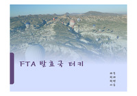 FTA  발효국 터키