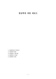 현상학에 대한 레포트