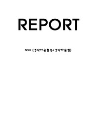 SDH(경막하혈종/경막하출혈종) 간호진단