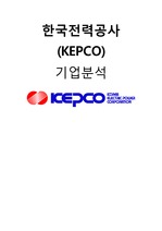 한국전력공사 기업 재무 분석