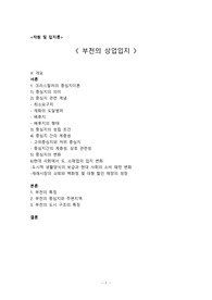 《 부천의 상업입지 》-자원 및 입지론