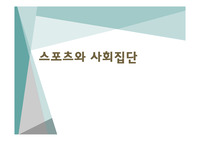 (스포츠 사회학) 스포츠와 사회집단