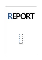 REPORT 표지6-심플