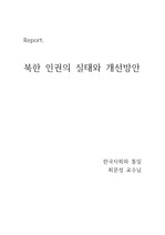 북한 인권의 실태와 개선방안