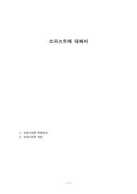 소피스트에 대해서