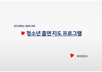 한국 대학교 사회의 이해 - 청소년흡연지도프로그램