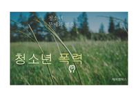 청소년문제와보호 - 청소년 폭력