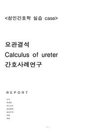 성인간호학 A+ 응급실 요관결석 케이스