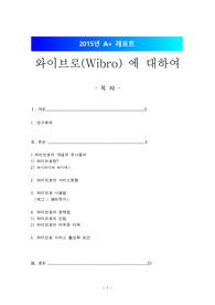 와이브로(Wibro)의 개념, 와이브로 서비스 현황, 와이브로 특징, 와이브로 문제점 및 와이브로 활성화 방안