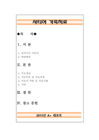 [가족치료][사티어 가족치료] 사이어 가족치료 이론, 주요개념, 사티어 가족치료 기법과 실제 시연
