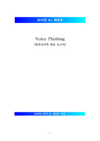[보이스피싱][Voice Phishing] 보이스 피싱 개념, 보이스 피싱 수법, 보이스 피싱 사례, 피해자 특징, 보이스 피싱 예방책