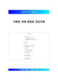 [정신지체][뇌병변 장애 동반된 정신지체 치료] 뇌병변 장애 동반된 정신지체 언어치료 방법, 언어치료 적용, 뇌성마비 언어치료