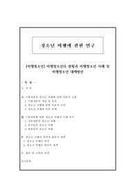 [비행청소년] 비행청소년의 현황과 비행청소년 사례 및 비행청소년 대책방안