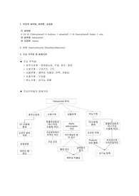 [약리학] 중추신경계에 작용하는 약물(haloperidol   상품명: Haldol)