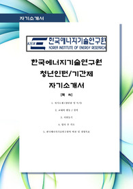 [비교 거부 최고 최신 합격 자기소개서]한국에너지기술연구원, 한국에너지기술, 에너지기술연구원, KIER,  청년 인턴, 인턴, 기간제, 최신, 합격, 자기소개서, 자소서