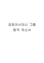 자기소개서(금호아시아나)