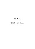 자기소개서(포스코_수정)