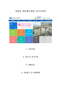 카톨릭 성빈센트병원 자기소개서 : 성빈센트병원 간호사 자기소개서, 성빈세트병원 간호사 합격 자기소개서, 간호사 합격 자기소개서,자소서