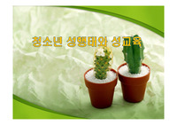 청소년 성행태와 성교육