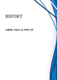 레포트 논문 : LG텔레콤 기업분석 및 마케팅 전략