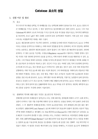 [일반생물학실험]Catalase 효소의 성질