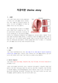 [명품자료]자궁이완 질병 레포트