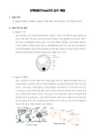 [일반생물학실험]진핵세포(Yeast)의 순수 배양