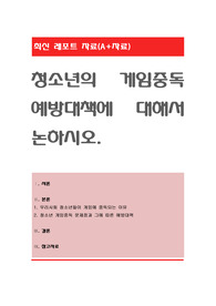 청소년의 게임중독 예방대책에 대해서 논하시오