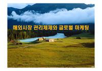 해외시장 관리체제와 글로벌 마케팅
