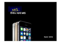 경희대 A+ MIS개론 :  주머니 속의 MIS 사례 연구 발표 PPT