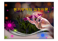 동기부여의 과정이론