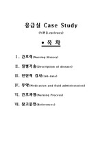 성인간호학실습 간질 응급실 Case Study