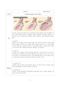 A+ 울혈성심부전(congestive heart failure) 문헌고찰