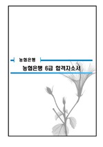 [최신]농협은행 6급 합격 자기소개서