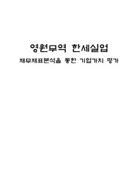 재무제표 분석을 통한 기업가치 평가-한세실업과 영원무역을 중심으로