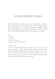 간호대학원 학업계획서 예시 합격우수샘플, 간호학과 학업계획서,간호대학원 연구계획서, 간호대학원 자기소개서, 간호학과 편입 학업계획서, 간호학과대학원 연구계획서 예시, 간호대학원 면접, 간호학과 지원동기,간호대학원학업계획서,간호연구계획서,간호학과자기소개서,서울대학교 간호대학원, 연세대학교 간호대학원, 고려대학교 간호대학원 전문간호사 자소서