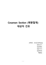 제왕절개 케이스