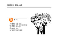 빅데이터 이용사례