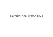cerebral aneurysm&SAH