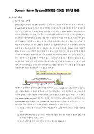 [인터넷정보통신]Domain Name System(DNS)을 이용한 인터넷 활용